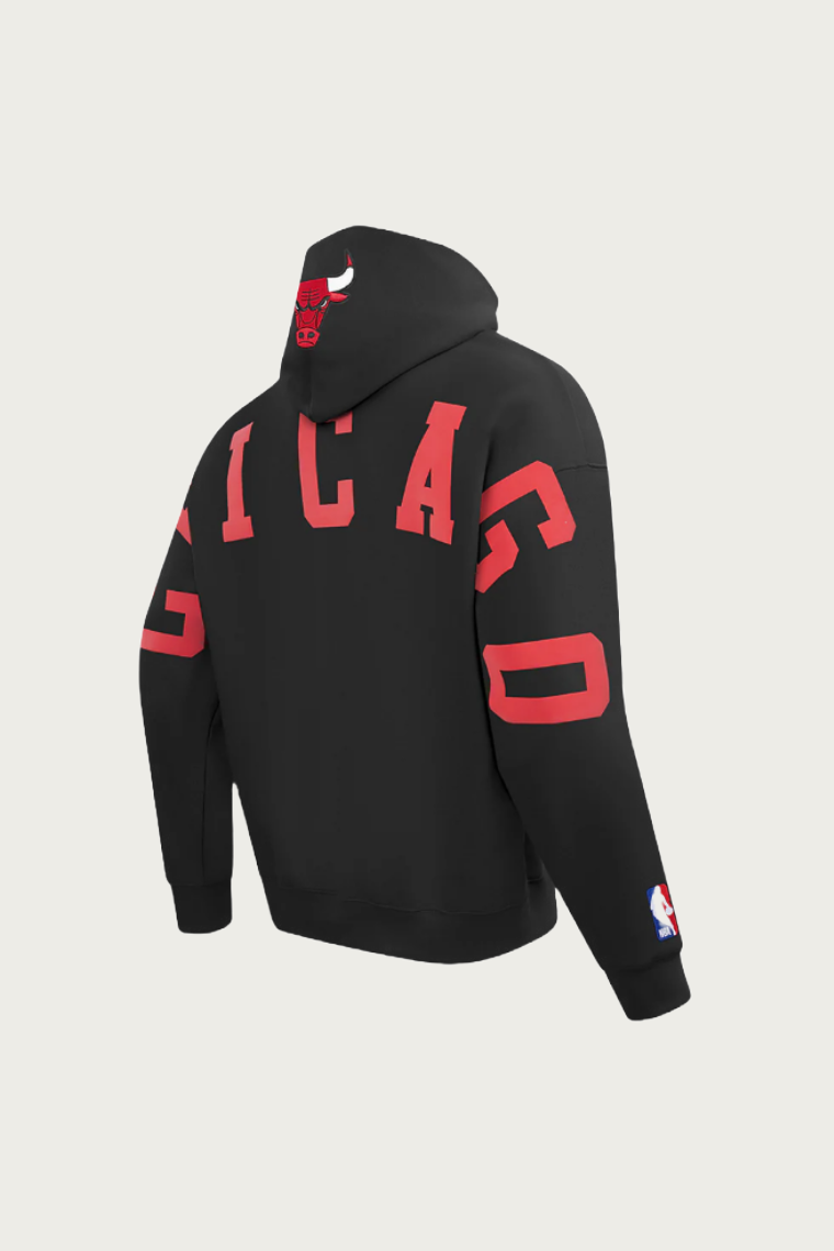 Bulls Wingspan Hoodie