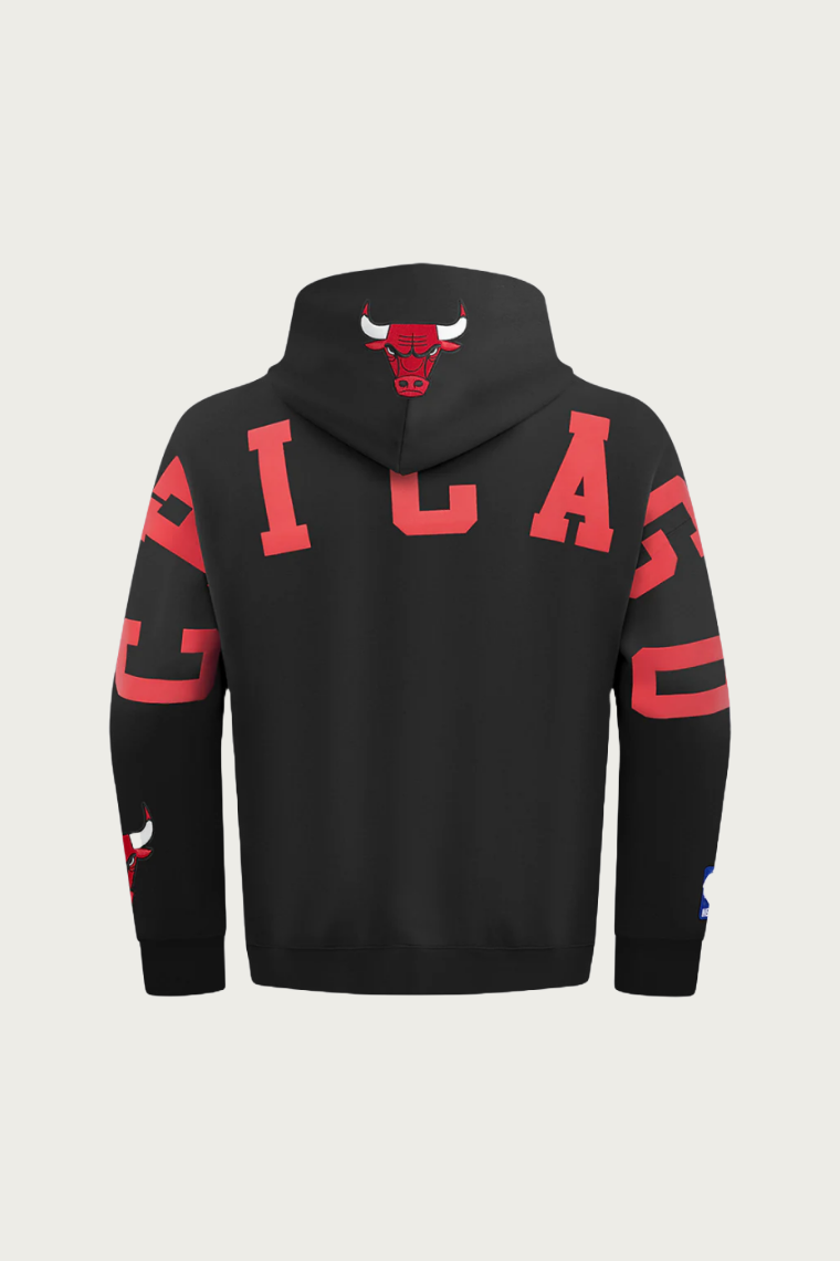 Bulls Wingspan Hoodie