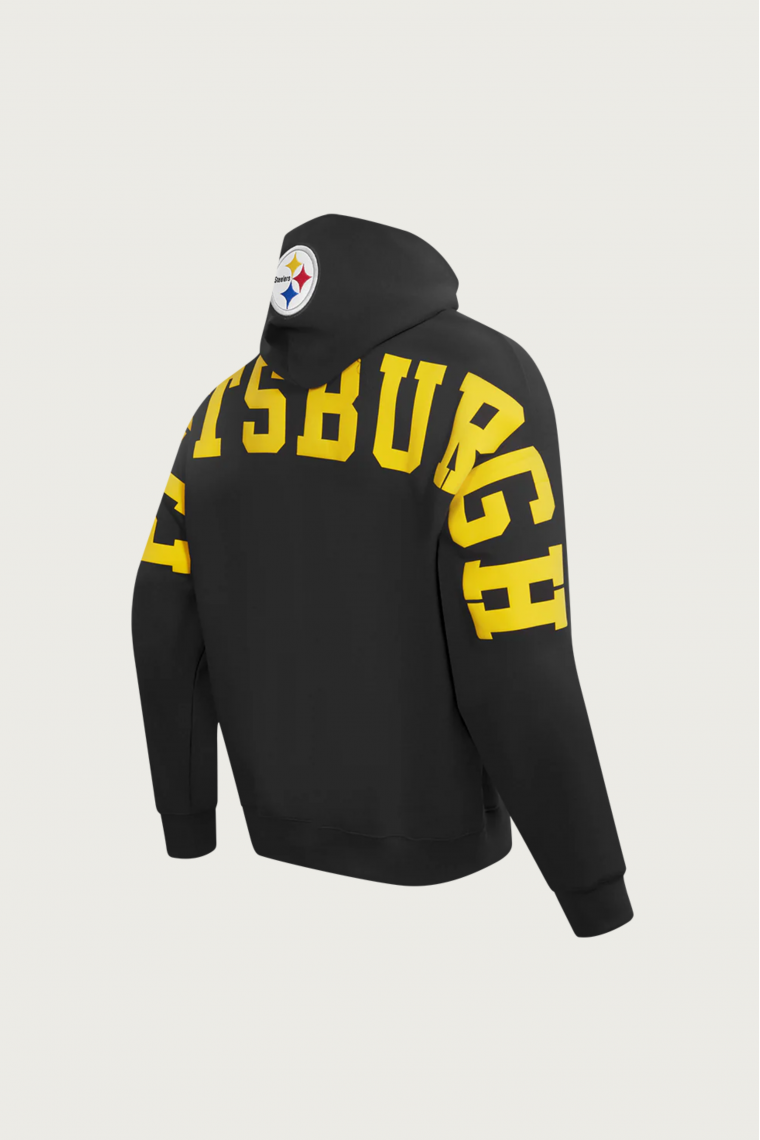 Steelers Wingspan Hoodie