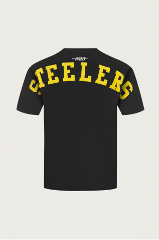 Steelers Wingspan Tee
