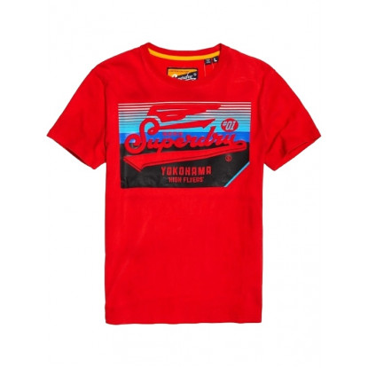 High Flyers T